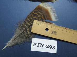 30 Pcs Natural Turkey Pre-Tail Feathers, Fly Tying Materials,Turkey Feathers (PTN-293)