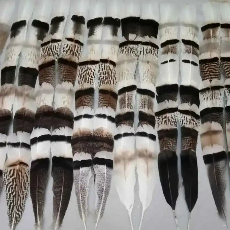 natural turkey feathers
