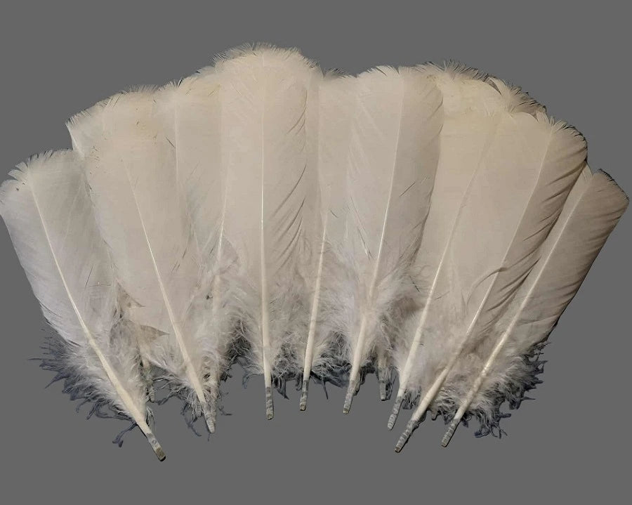 white turkey feathers