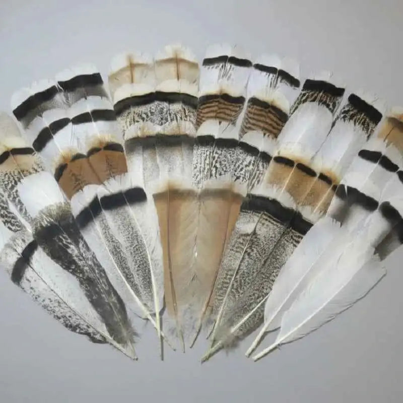 natural turkey feathers