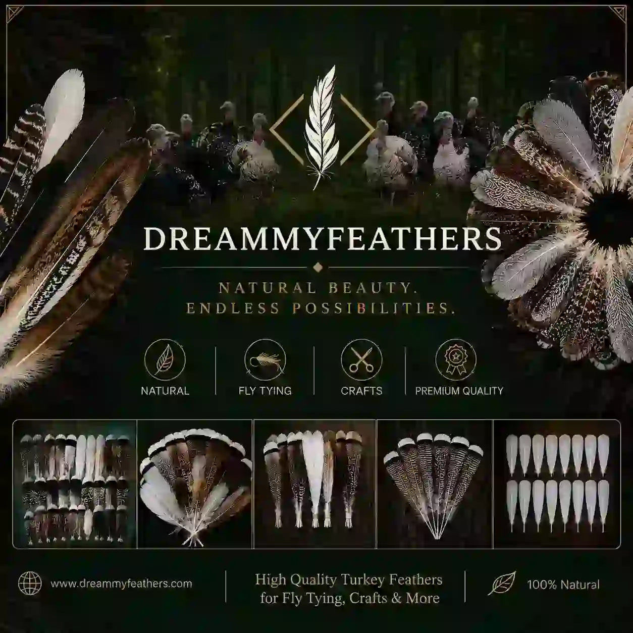 natural turkey feathers