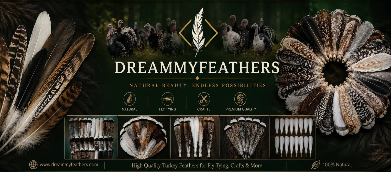 natural turkey feathers