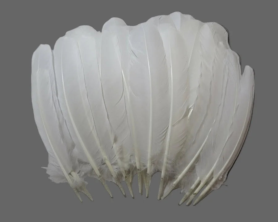 white turkey feathers