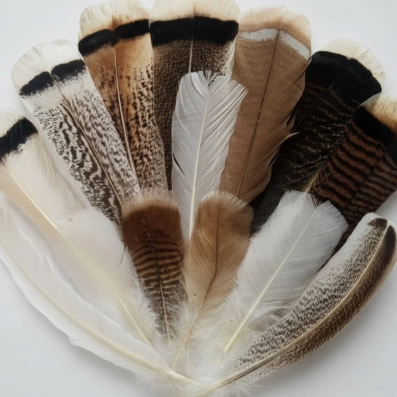 turkey feathers