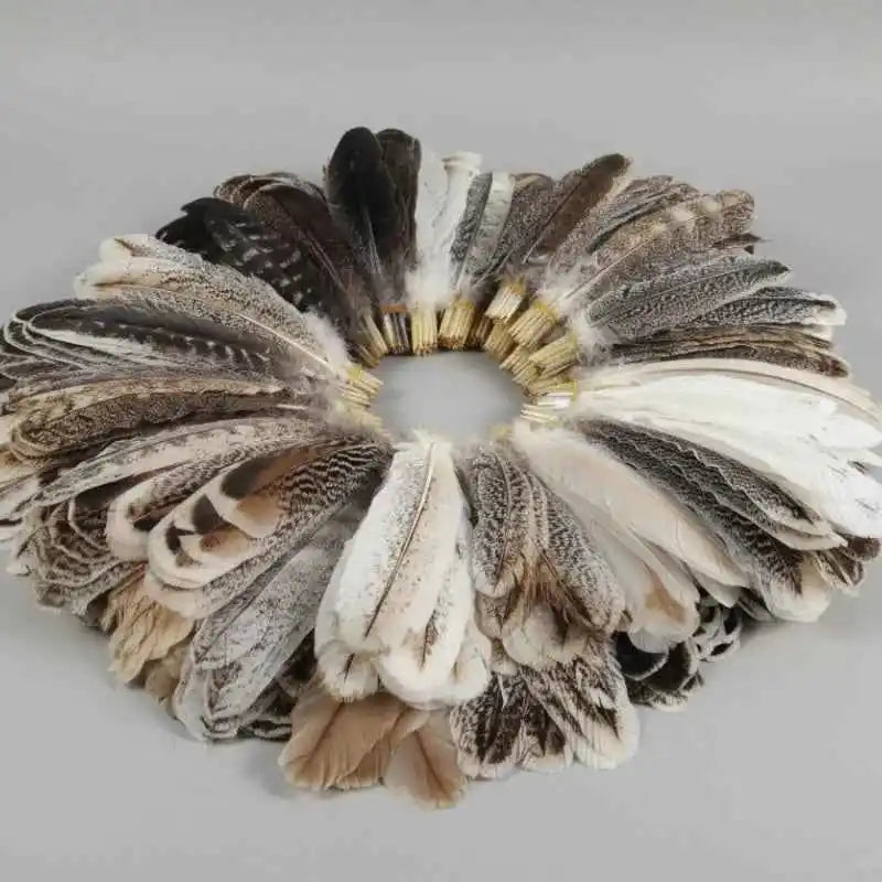 natural turkey feathers