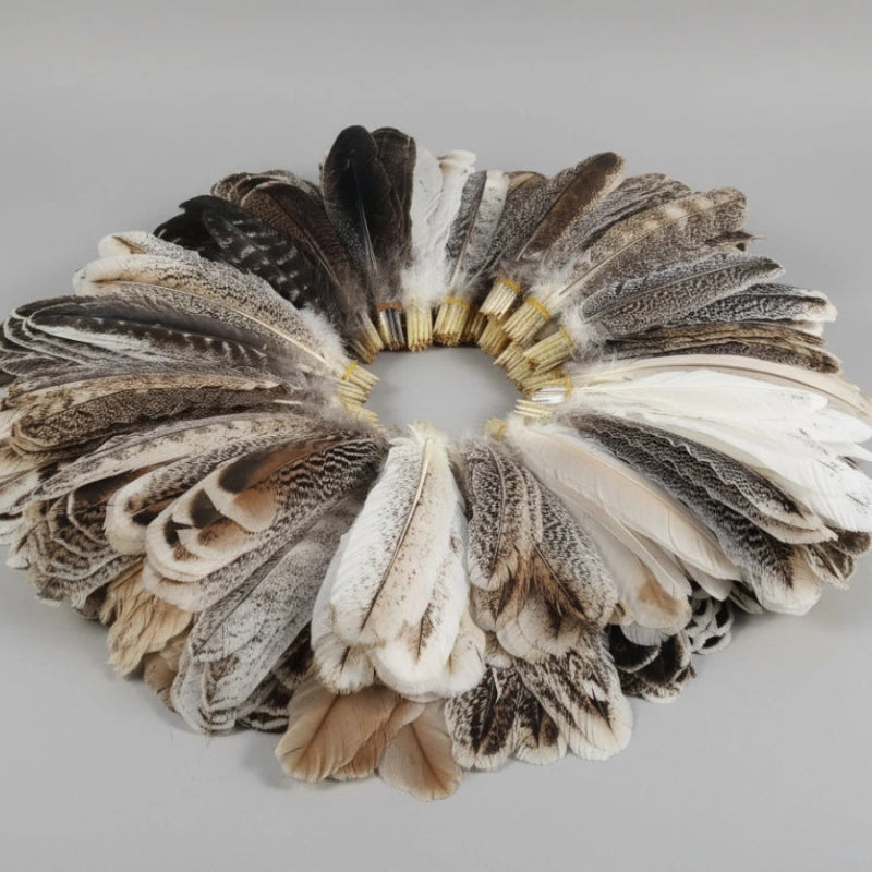 turkey feathers