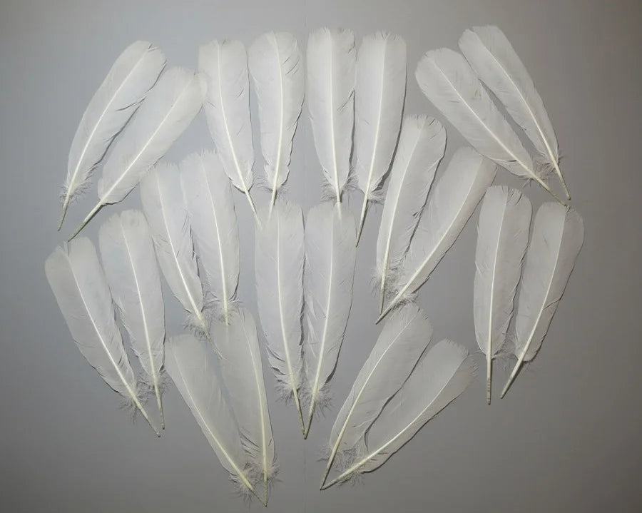 white turkey feathers