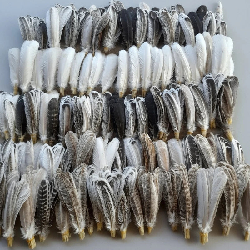turkey feathers