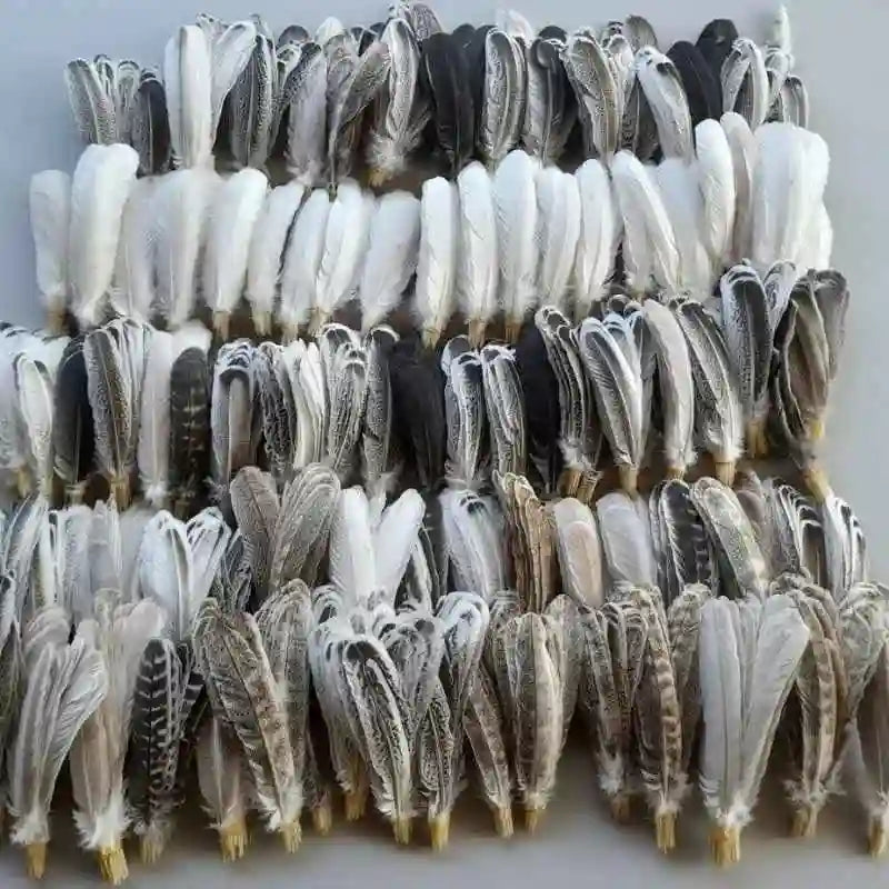 turkey wing feathers